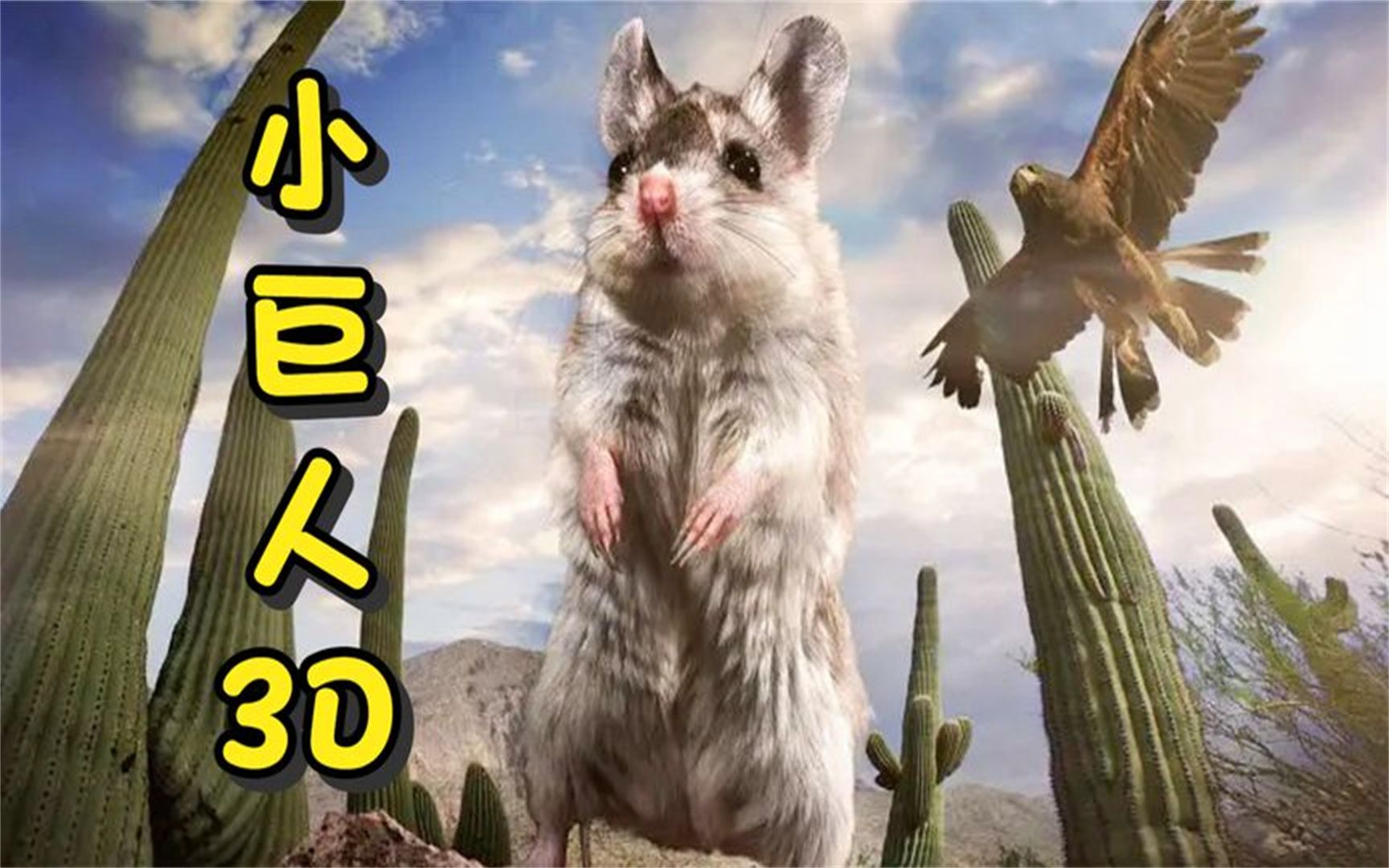 生活应该享受安逸,还是直面挑战?小食蝗鼠告诉你正确答案!