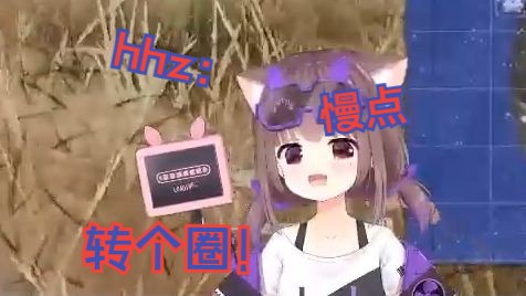 【猪猪公主】顶级指挥hhz!真得开庭了吧!哔哩哔哩bilibiliPUBG