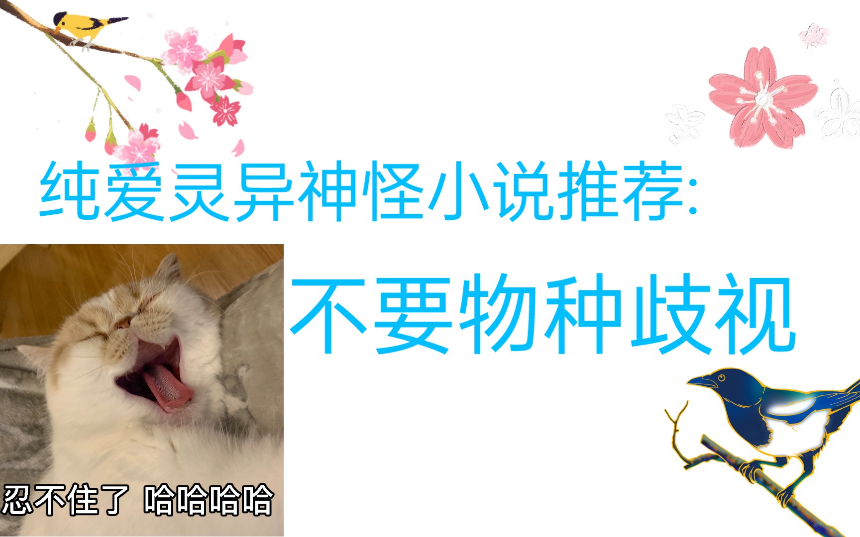 【小说推荐】不要物种歧视哔哩哔哩bilibili