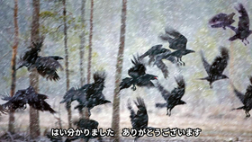 N2听力真题原文附原文字幕 17年12月 哔哩哔哩 つロ干杯 Bilibili