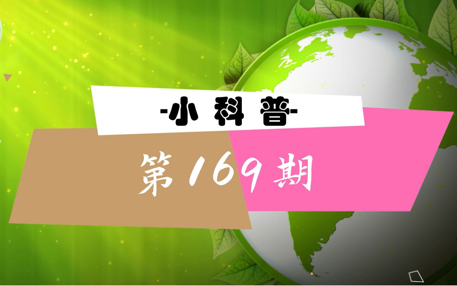 【小科普】第169期 家里养鱼了么?把金鱼藻放进去!哔哩哔哩bilibili