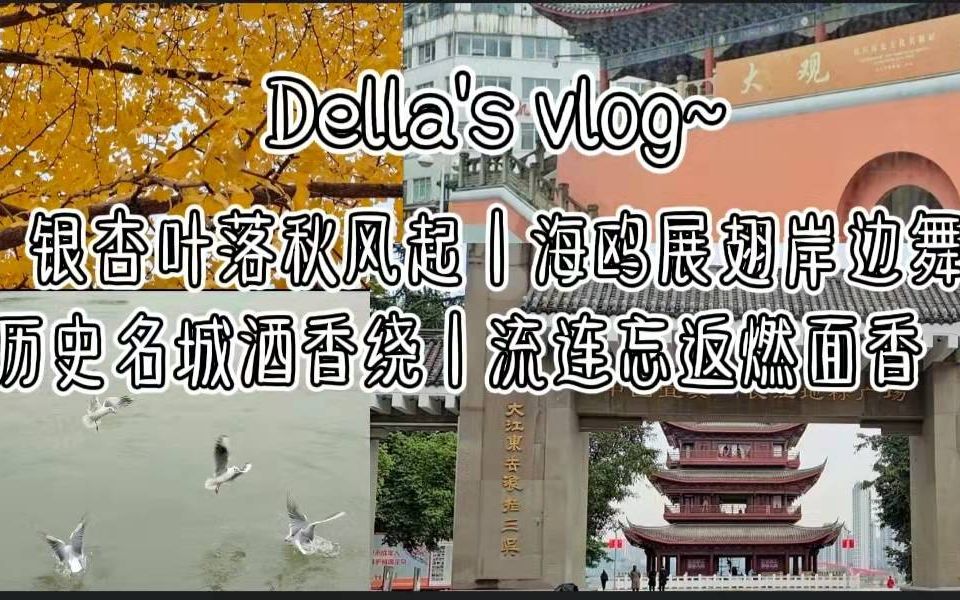 [图]Della's vlog~银杏叶落秋风起/海鸥展翅岸边舞/历史名城酒香绕/流连忘返燃面香