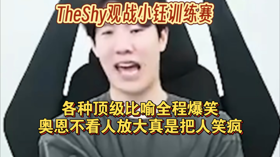 TheShy观战小钰训练赛,各种顶级比喻全程爆笑,奥恩画面没人放大真是把人笑疯英雄联盟