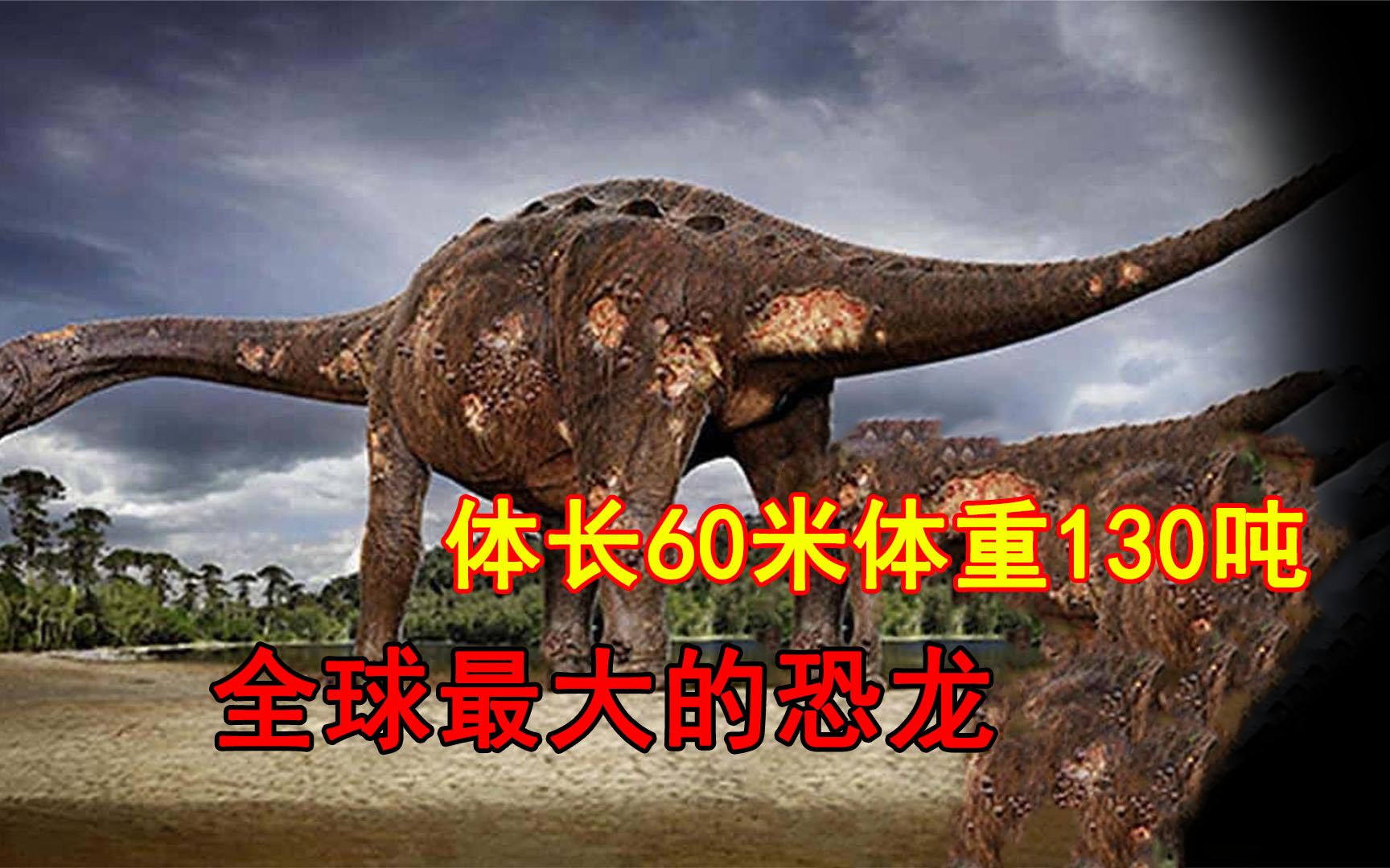 全球最大的恐龙体长60米体重130吨它到底有多厉害