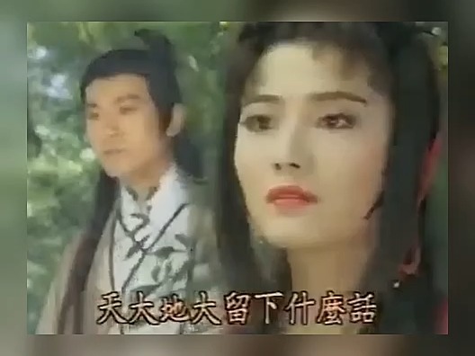 杨丽菁郑少秋图片