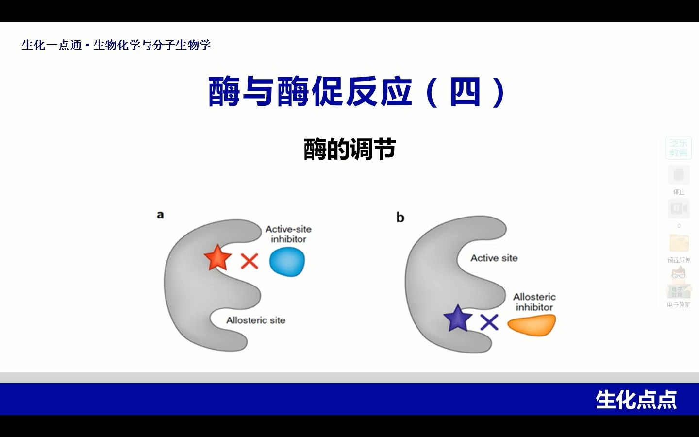 9 酶的调节哔哩哔哩bilibili