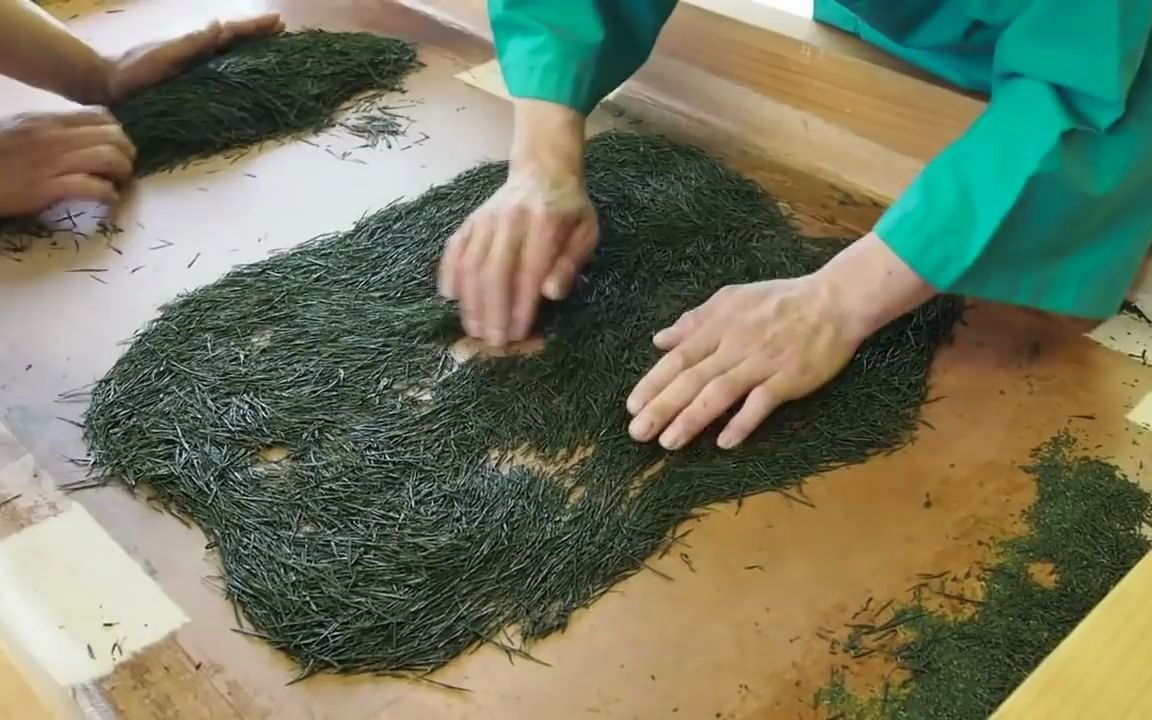 日本传统手工煎茶Handmade Japanese Sencha哔哩哔哩bilibili