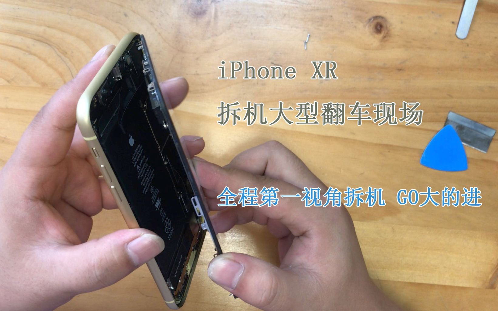 【第一视角拆机】iPhoneXR第一视角拆机 原来XR里面是这样的哔哩哔哩bilibili