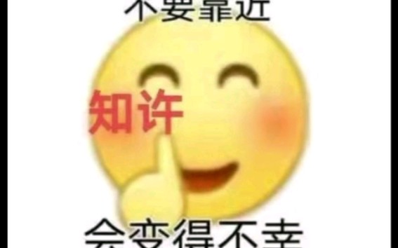 锤主播知许大大哔哩哔哩bilibili