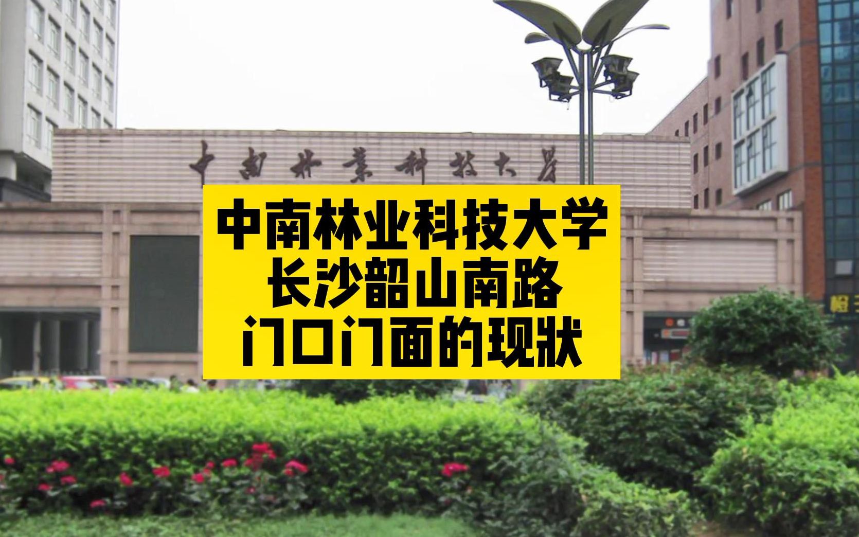 中南林业科技大学长沙韶山南路门口门面的现状,不再人头攒动哔哩哔哩bilibili