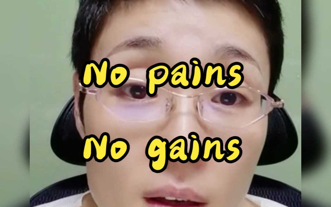 NO pains No gains哔哩哔哩bilibili