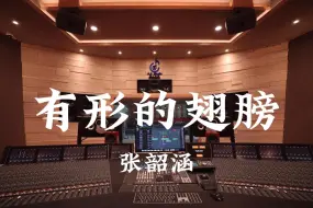 Download Video: 在百万豪装录音棚大声听 张韶涵《有形的翅膀》【Hi-res】