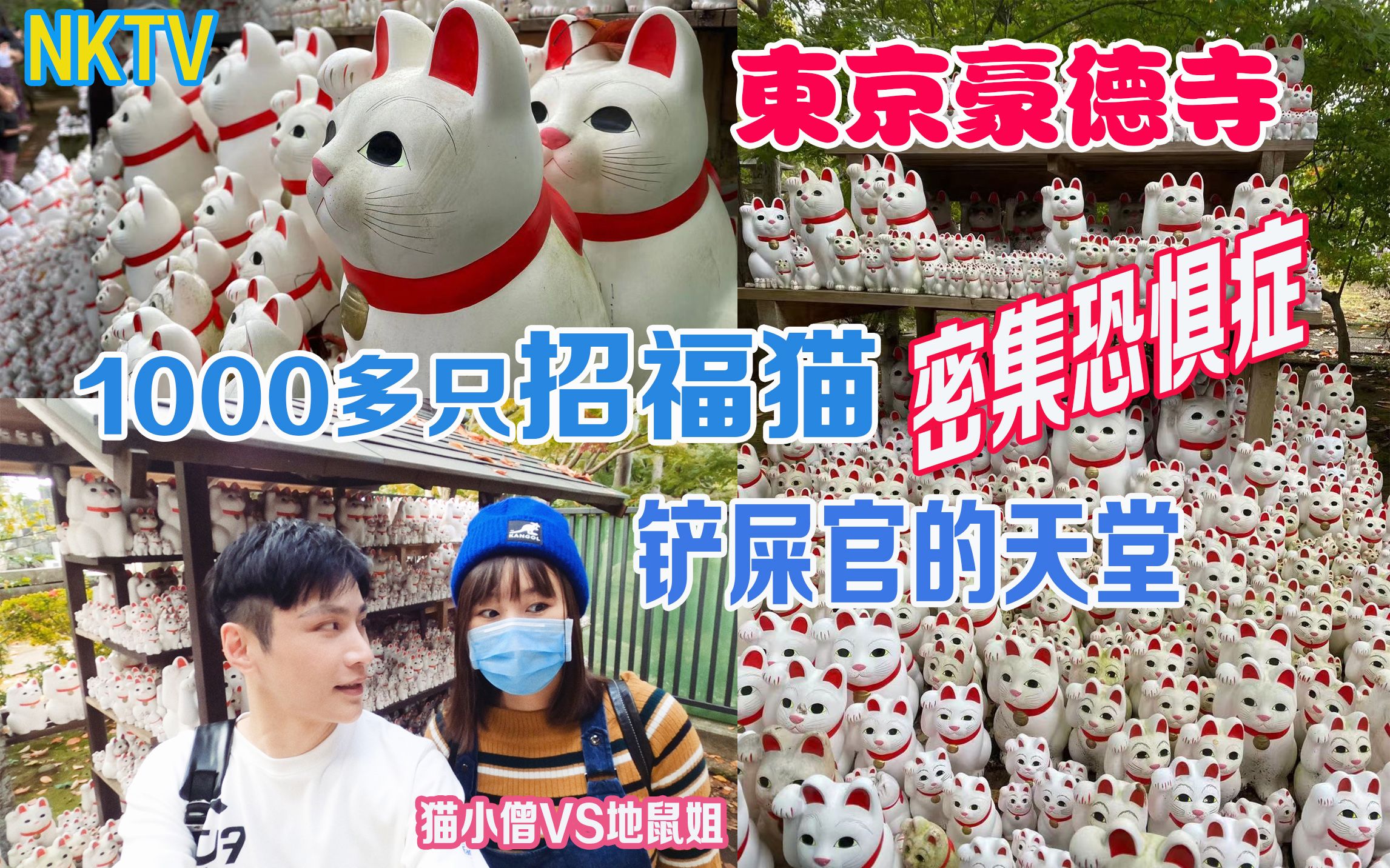 [图]猫奴天堂 铲屎官乐园 东京豪德寺 1000多只招福猫 严重密集恐惧症 世界上最灵验的寺庙