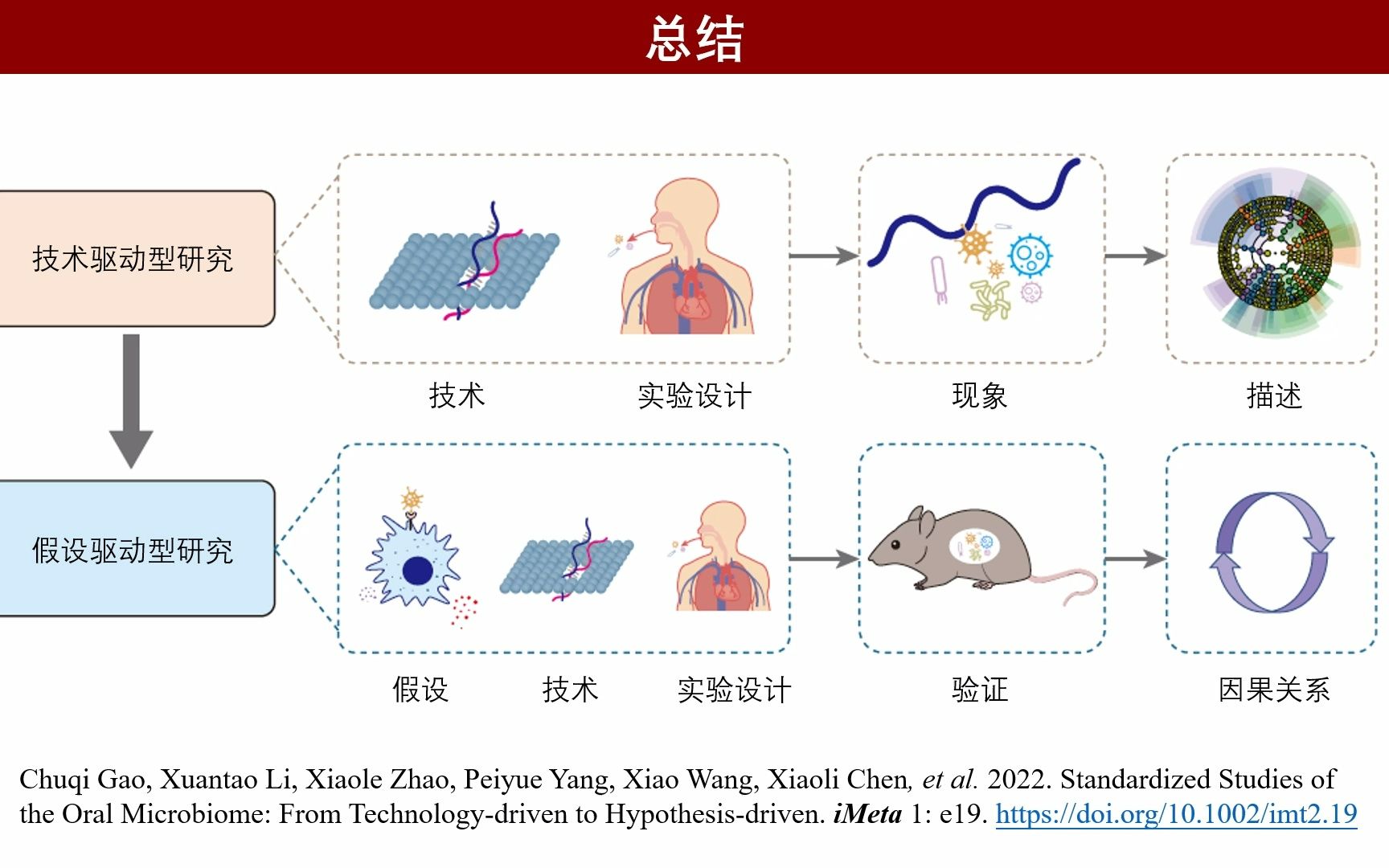 iMeta | 北大陈峰组综述口腔微生物组的标准化研究:从技术驱动到假说驱动哔哩哔哩bilibili