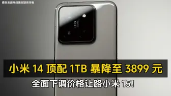 Download Video: 小米 14 顶配 1TB 暴降至 3899 元、全面下调价格让路小米 15！