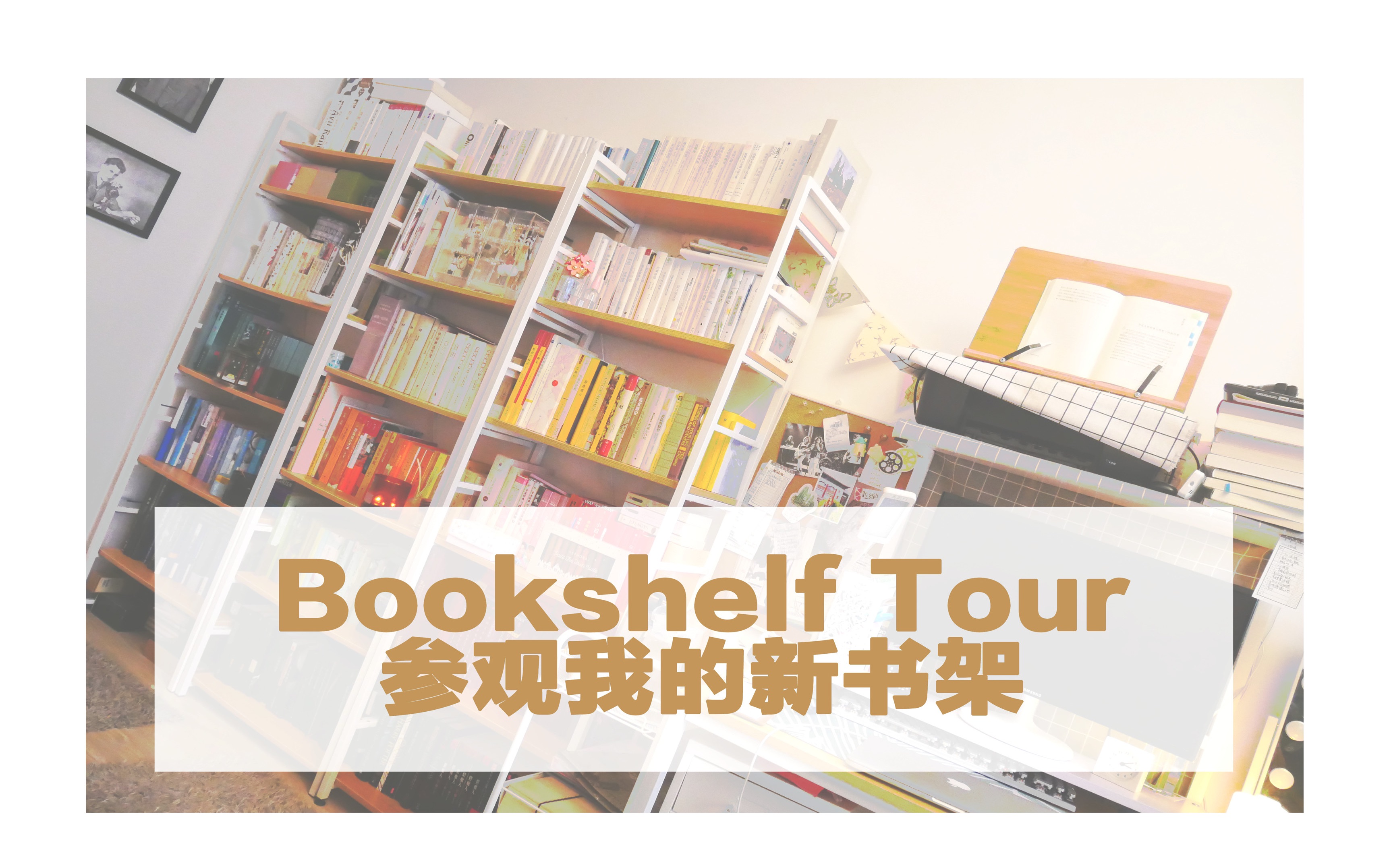 【小隐】添置新书架!参观我的书架2018 | Bookshelf Tour 2018哔哩哔哩bilibili