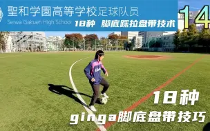 下载视频: 日本圣和学园高中，足球队员向原圭吾，18种ginga盘带技巧演示