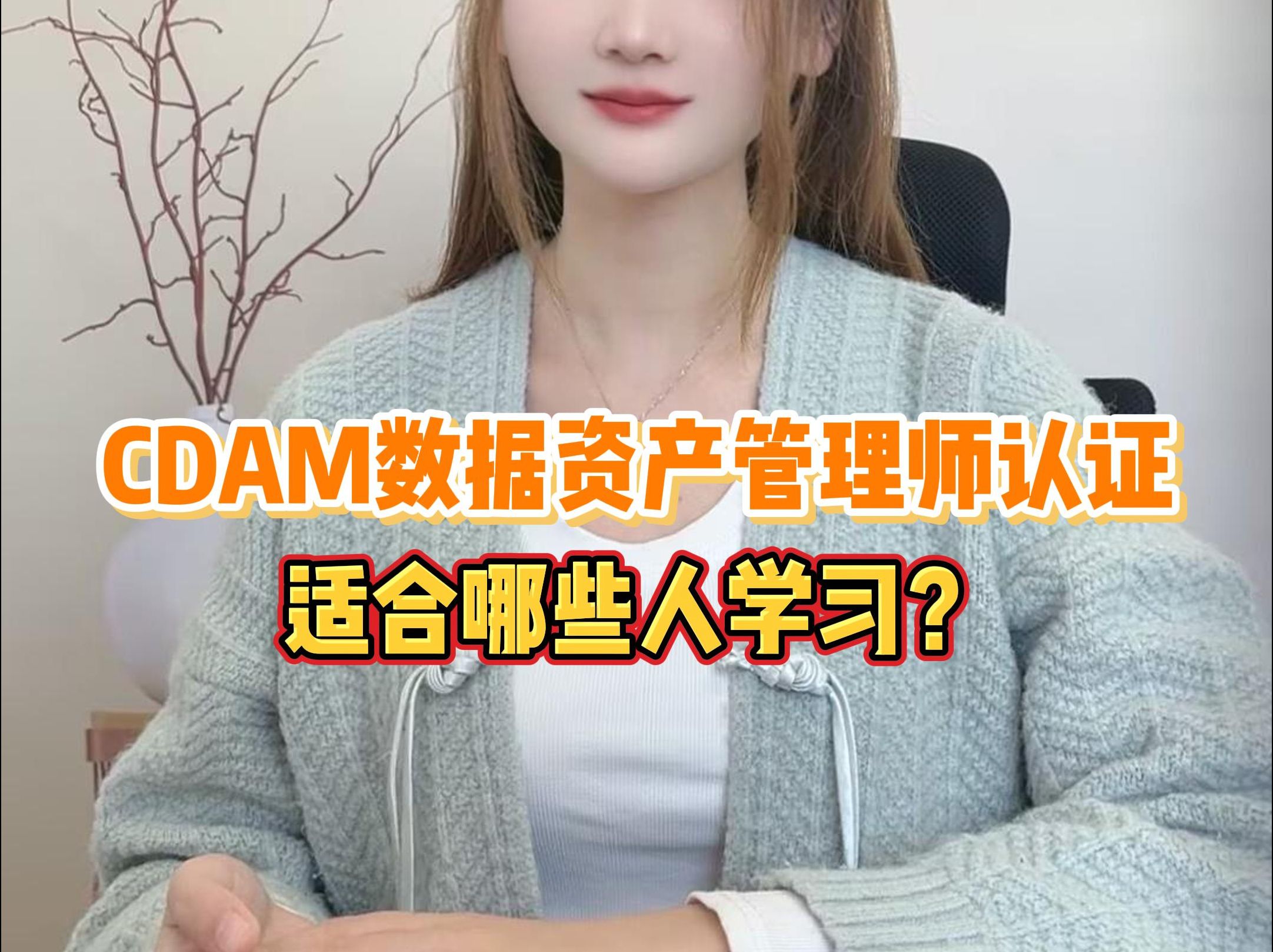 CDAM数据资产管理师认证适合哪些人学习?哔哩哔哩bilibili