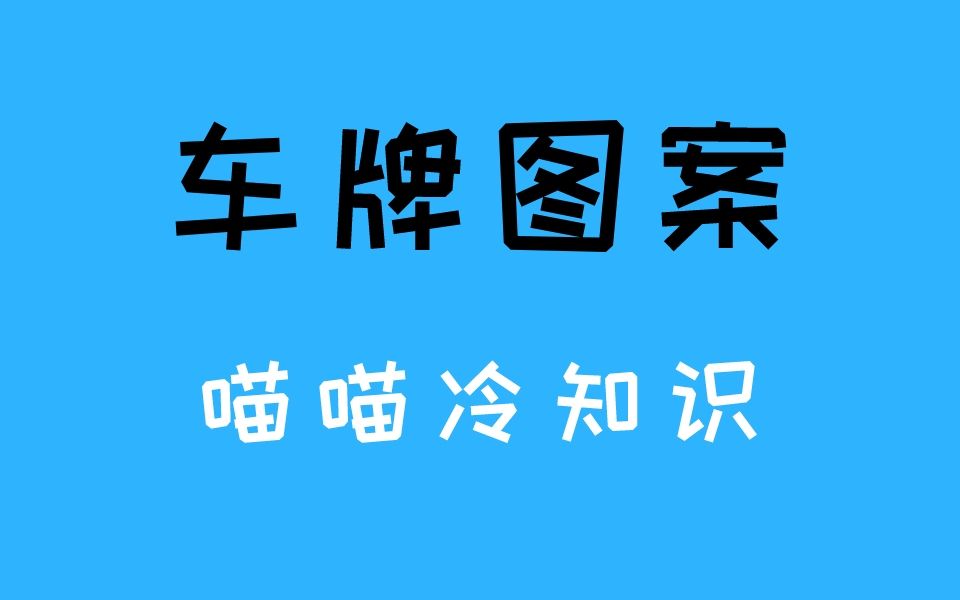 你的车牌上是什么图案呢?哔哩哔哩bilibili