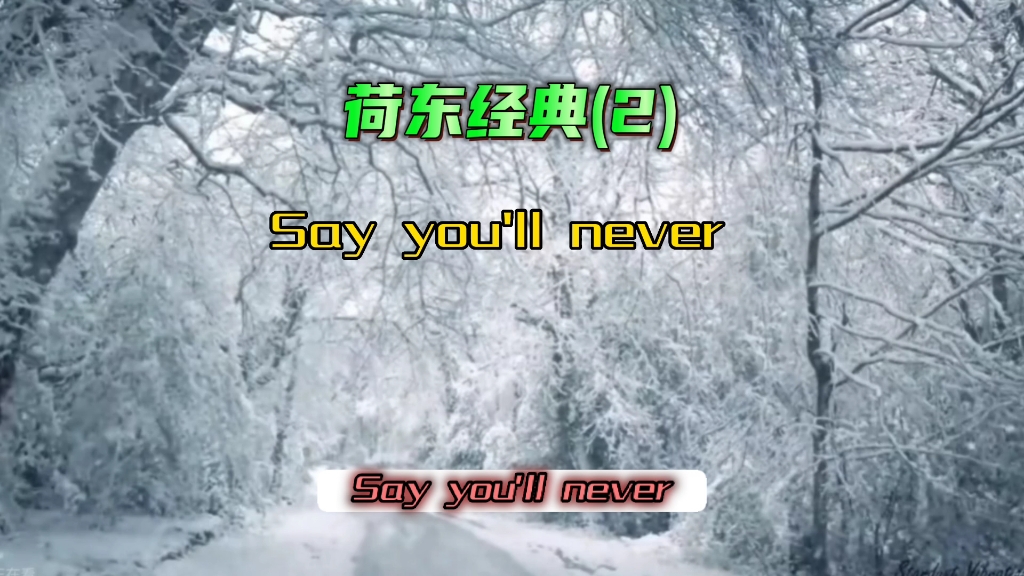 [图]Say you'll never 荷东经典