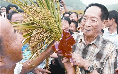 [图]不神话 才是对袁隆平最好的悼念