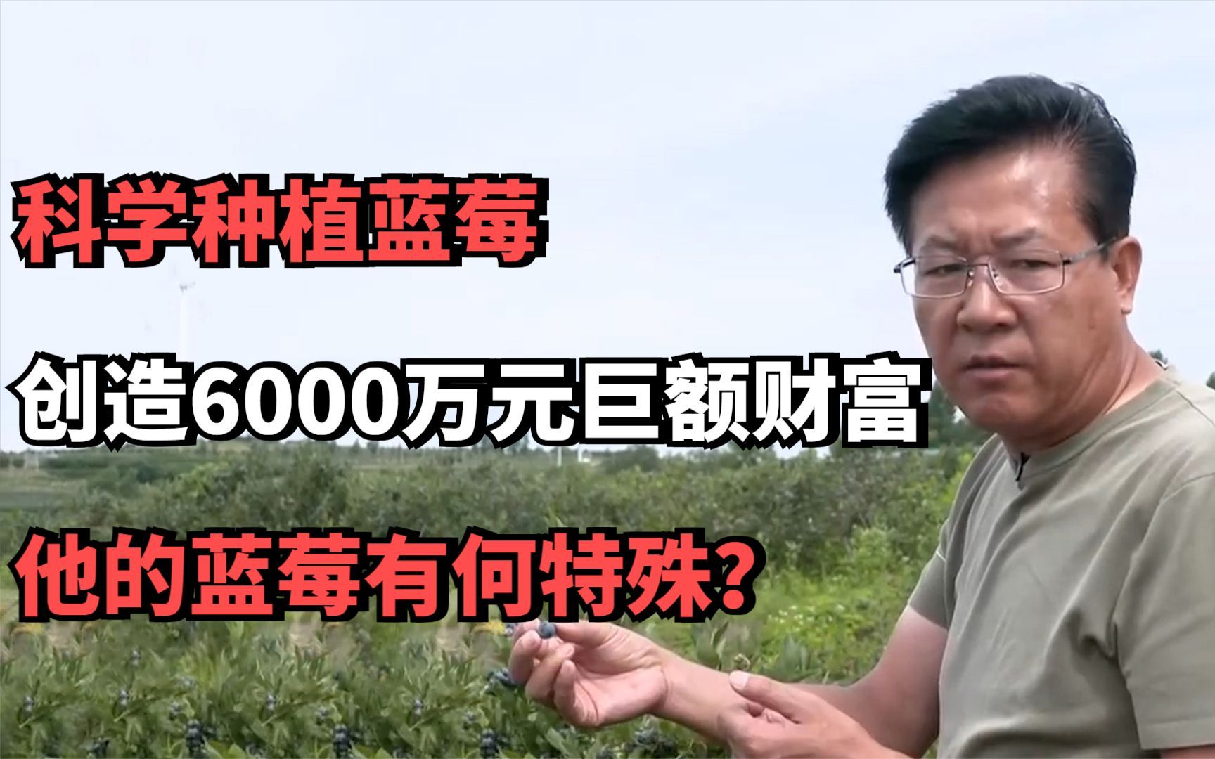 科学种植蓝莓,创造6000万元巨额财富,他的蓝莓有何特殊?哔哩哔哩bilibili