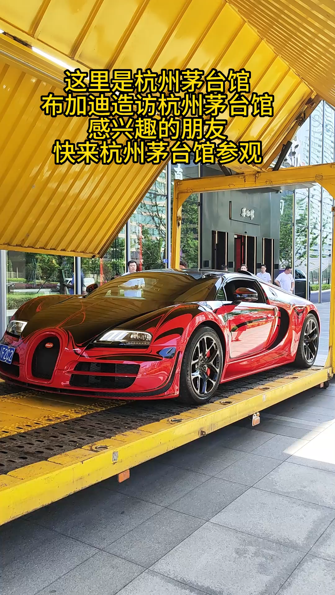 布加迪造访茅台馆,欢迎大家参观茅台馆