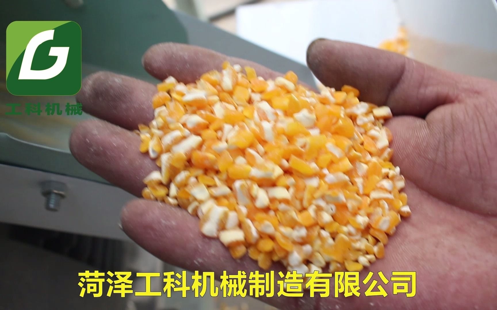 全自动玉米脱皮制糁机玉米糁加工机器玉米制糁效果好