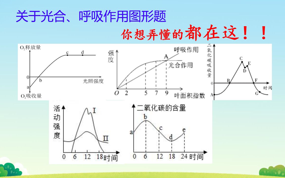 [图]【习题精讲】光合呼吸图形题有些懵？听我说，就会了！