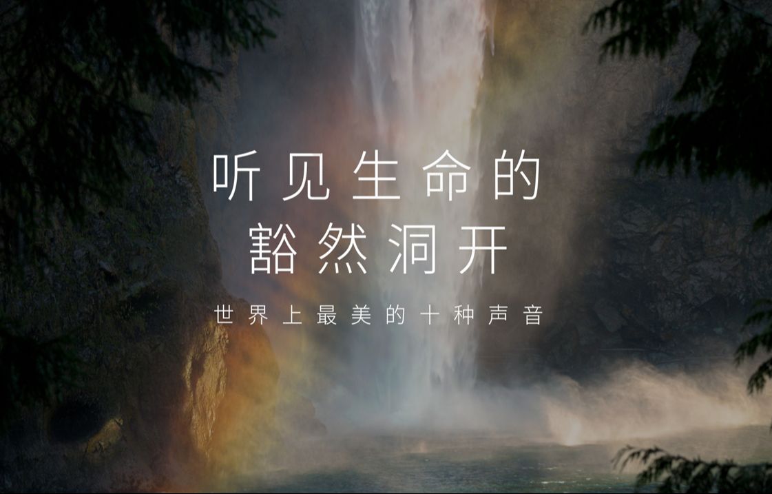 世界上最美的十种声音：听见生命的豁然洞开