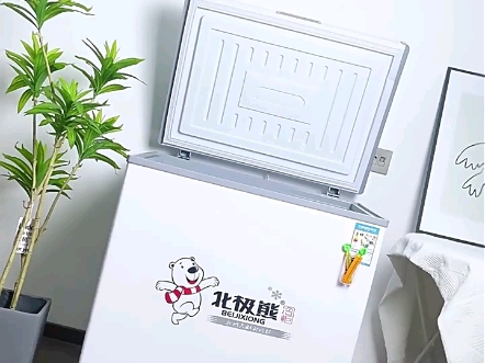 北极熊(beijixiong)冰柜家用商用卧式大容量冷柜冷藏冷冻单双温展示柜