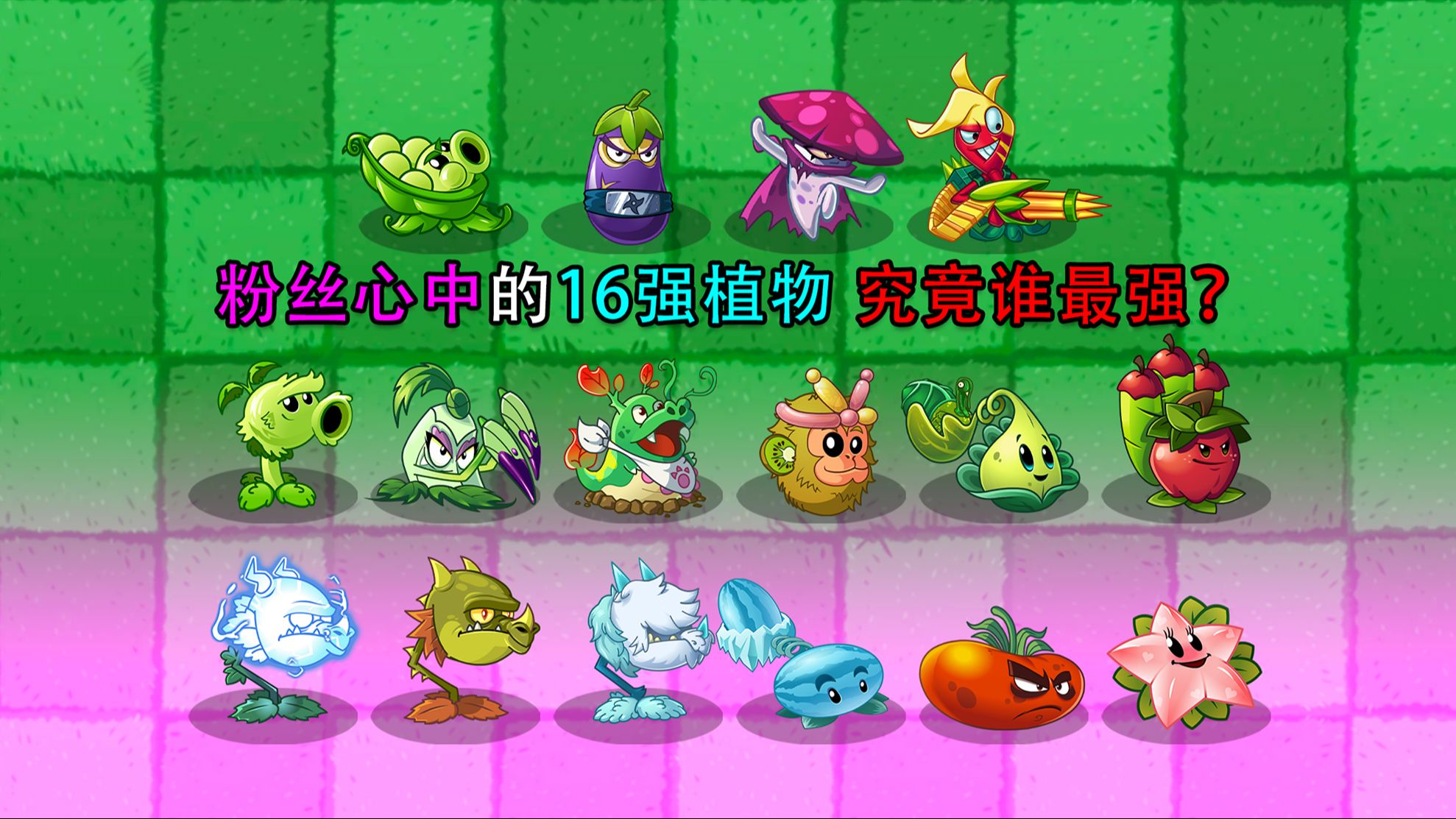 [图]PVZ斗蛐蛐：16强对决赛！16进8！SSS级高难度！能晋级的都是王者！植物大战僵尸2