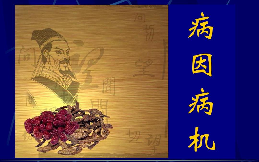 【讲透中医《病因病机》】 学习中医: 传承中医精神 弘扬中医文化