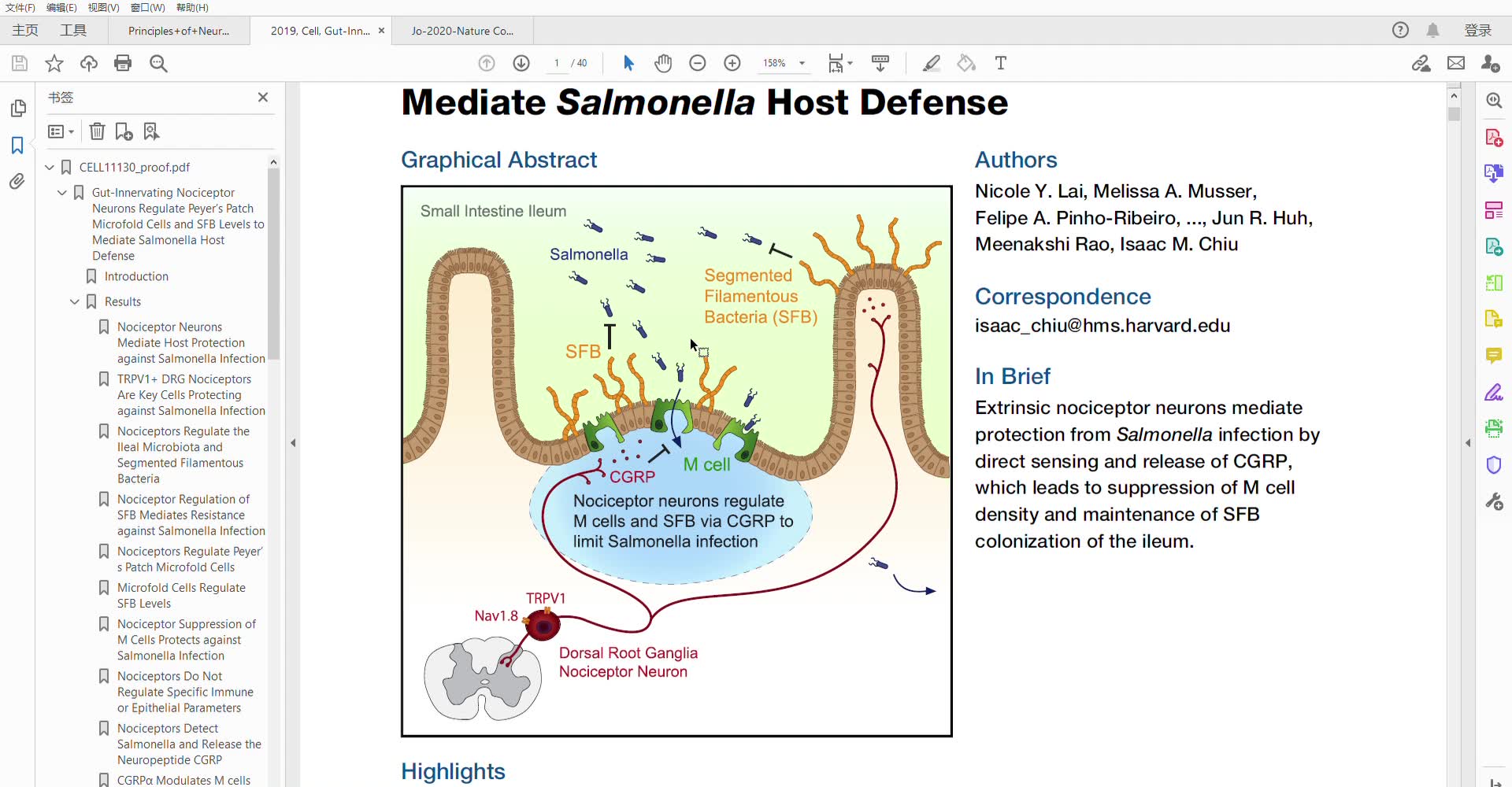 20200127文献-nociceptor neuron->gut immune doi: /10.1016/j.cell.