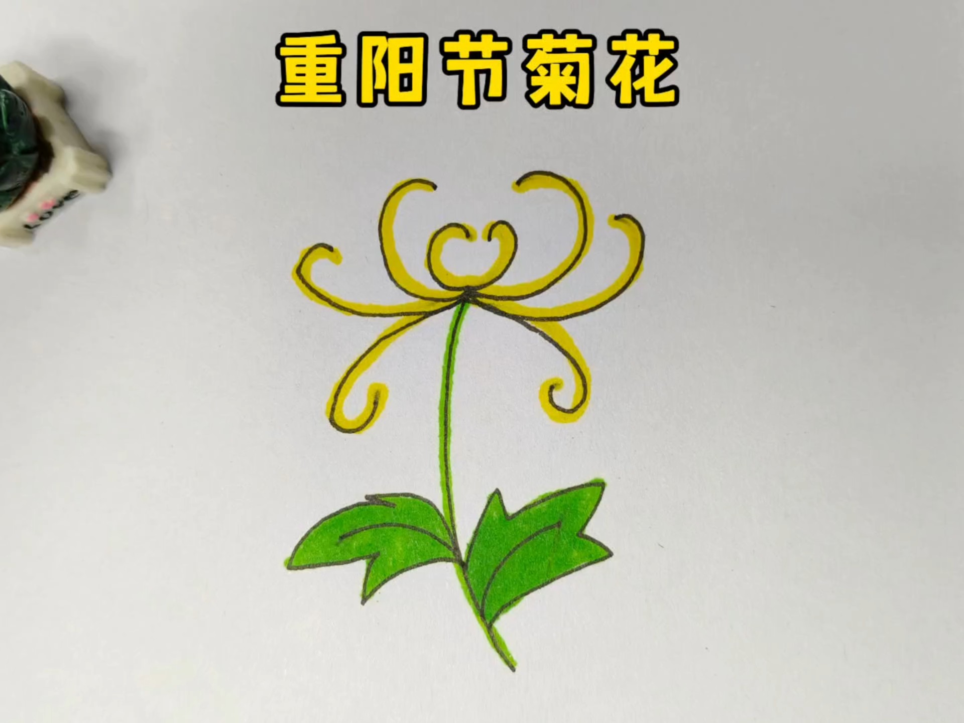 重阳节绘画菊花简笔画,简单易学