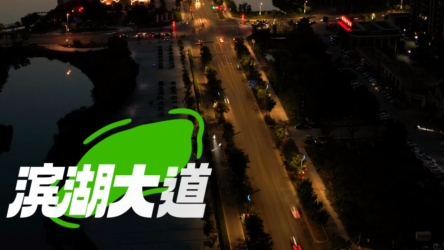 成武滨湖大道