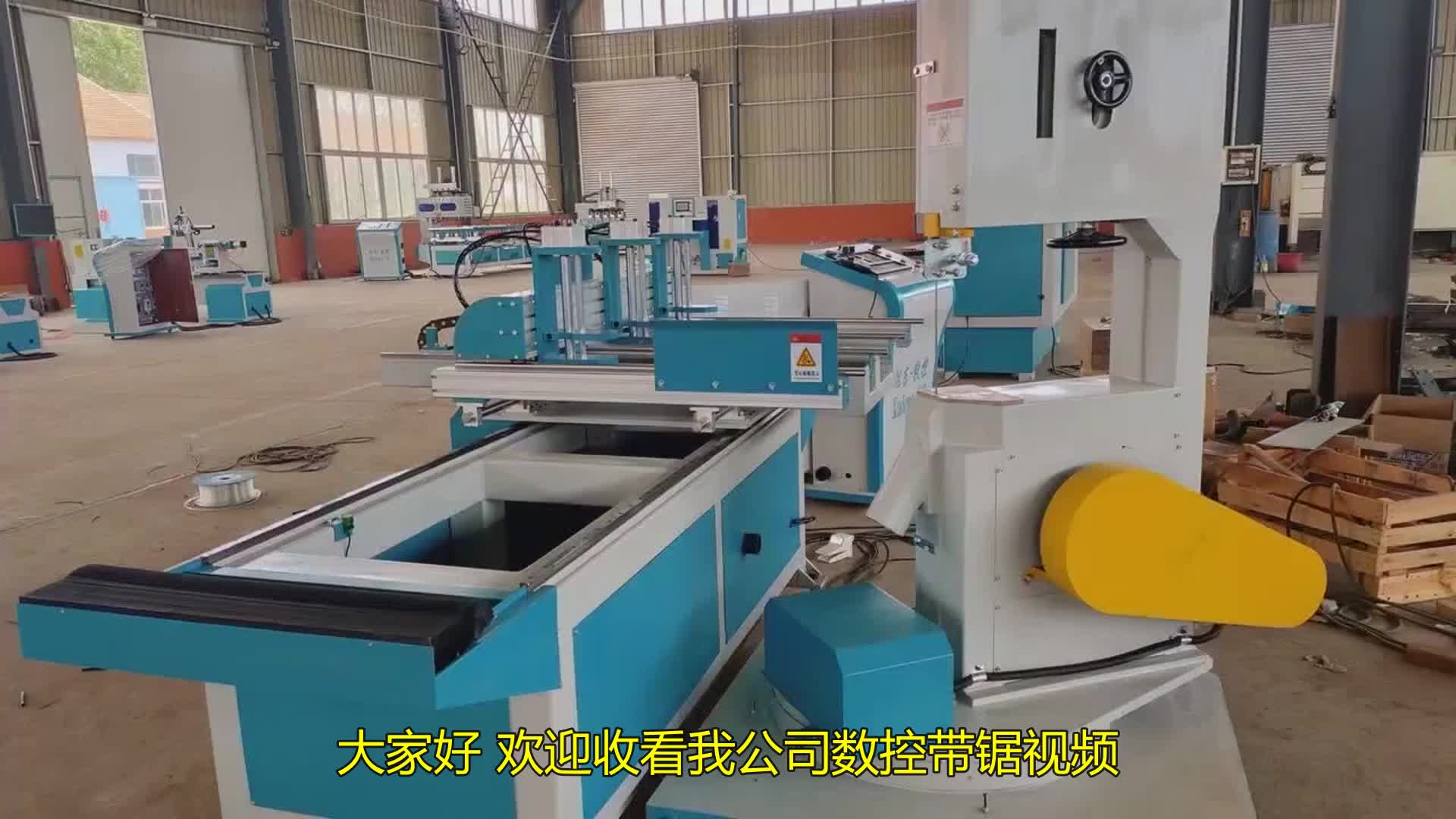 全自动木工带锯 自动带锯机厂家介绍
