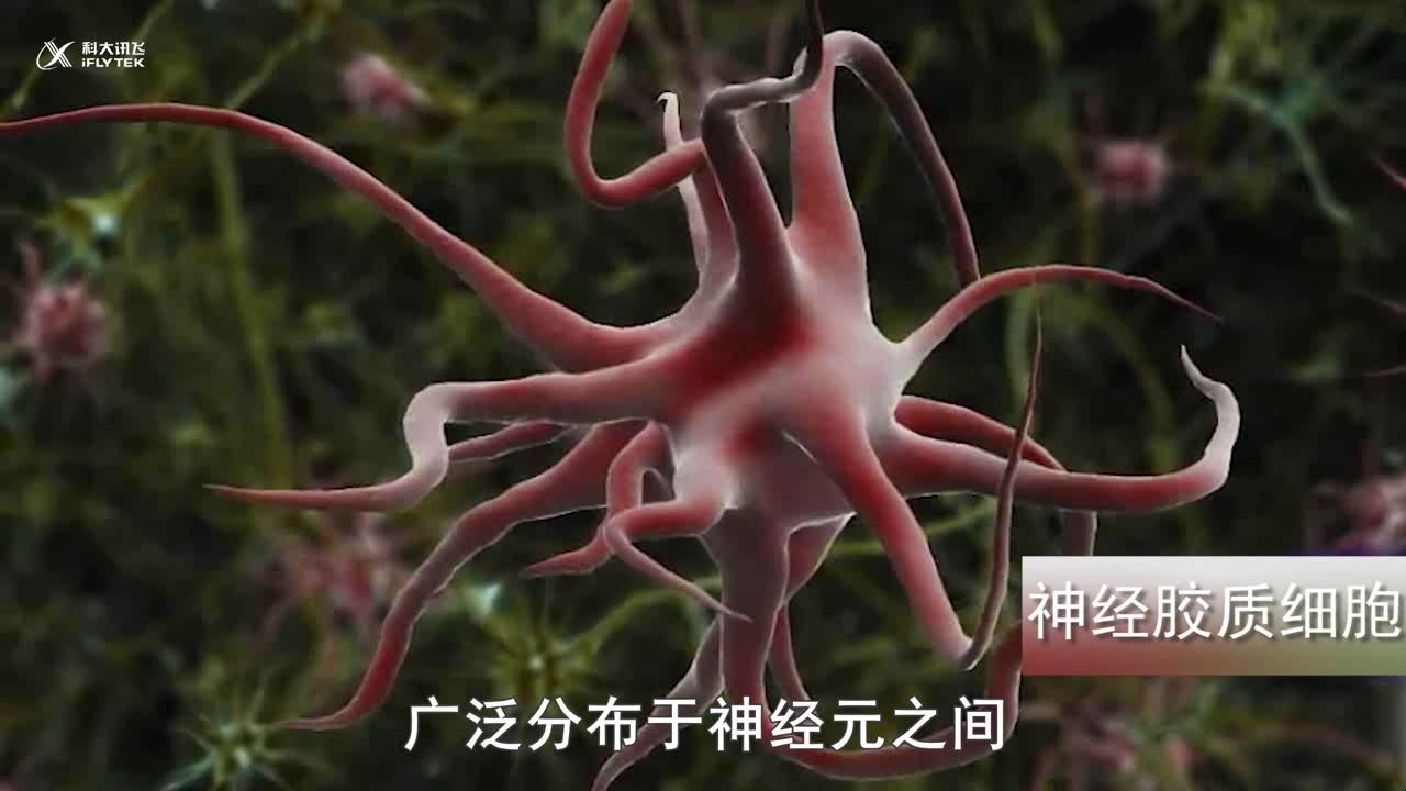 神经胶质细胞