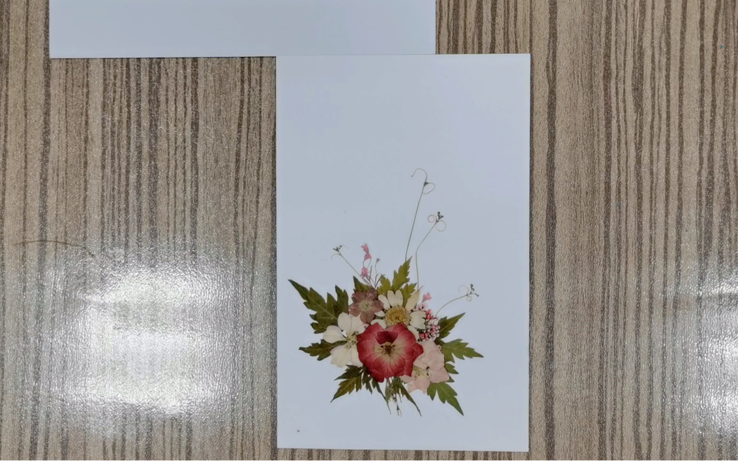 nova干燥植物艺术工坊——压花贺卡