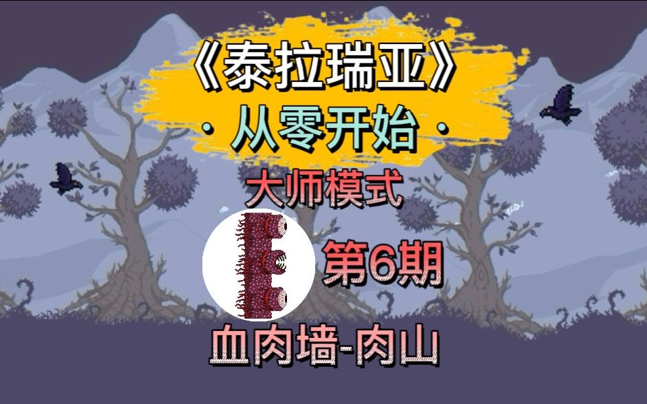 《泰拉瑞亚》大师难度通关全流程 第6期.大师难度血肉墙肉山打法教学.哔哩哔哩bilibili泰拉瑞亚