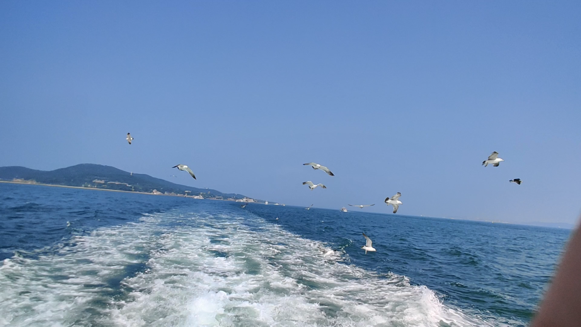 海鸥与船_哔哩哔哩_bilibili