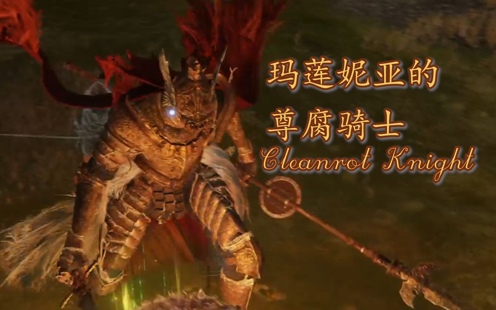 [艾尔登法环|sungo 玛莲妮亚的尊腐骑士 cleanrot knight