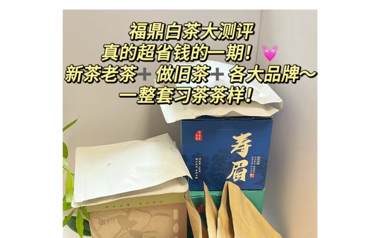 福鼎白茶大测评|新茶老茶+做旧茶~一期解密❗️大品牌+线下品牌皆有可以说最全~哔哩哔哩bilibili