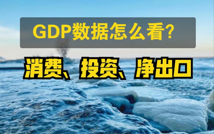 GDP数据怎么看?消费、投资、净出口哔哩哔哩bilibili