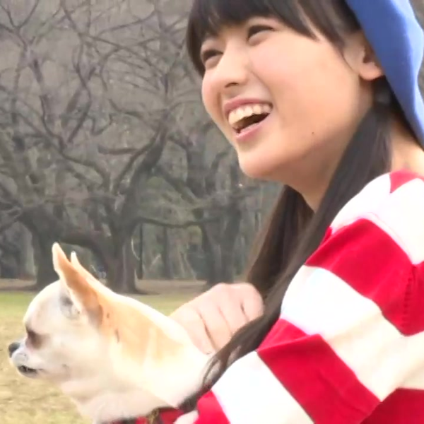 矢島舞美-My Museum Special DVD_哔哩哔哩_bilibili