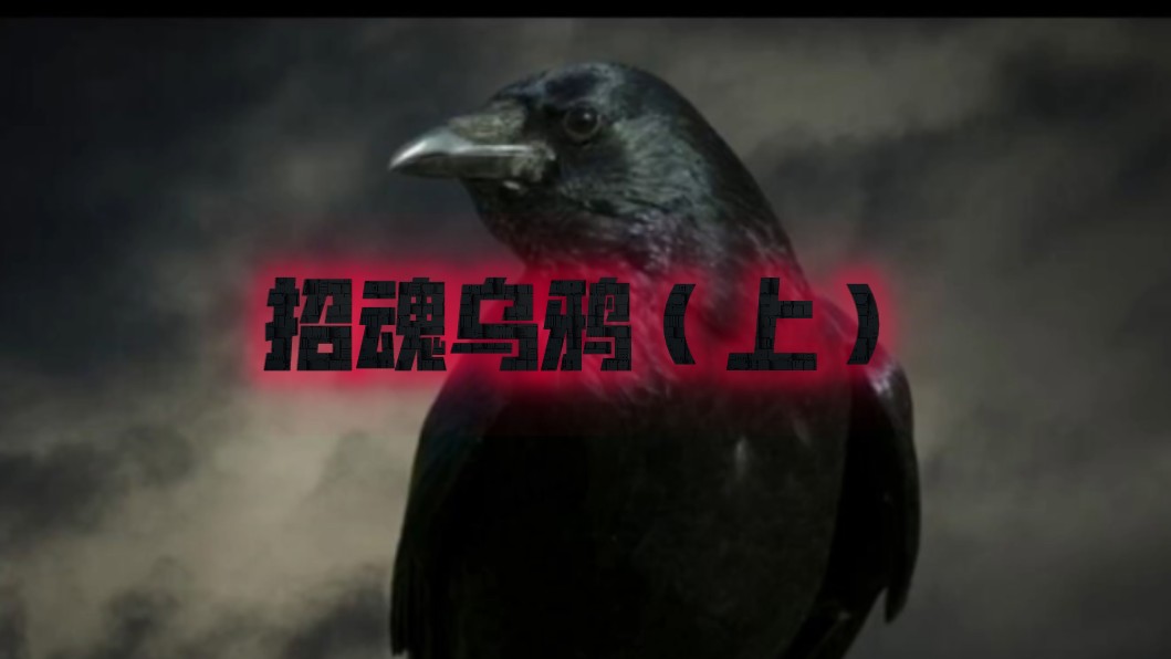 民间恐怖故事之招魂乌鸦(上集)