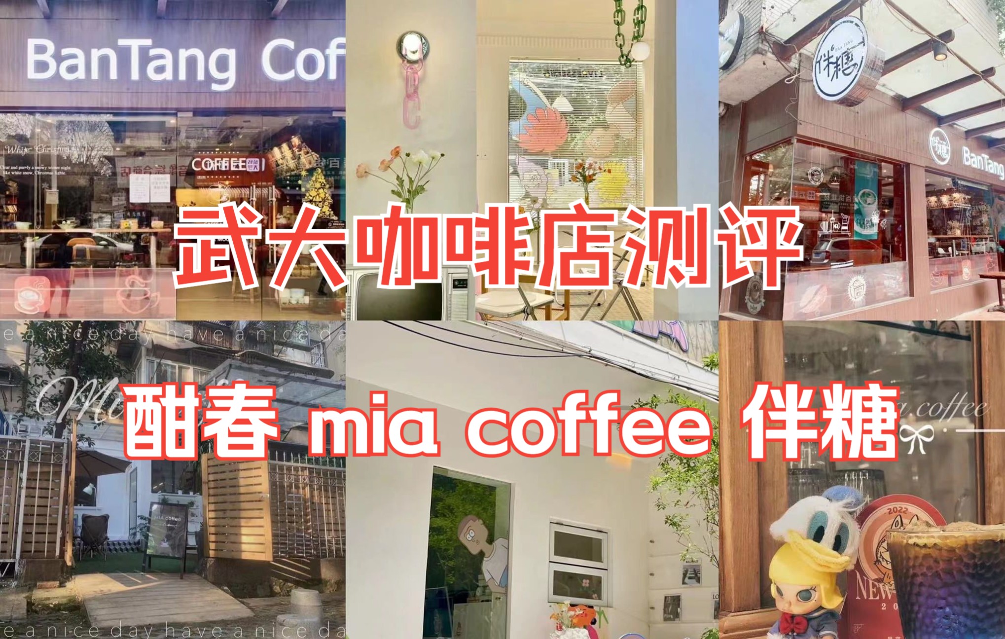 【武大咖啡店测评】酣春!mia coffee!伴糖!哪家强!纯吃吃喝喝合集~哔哩哔哩bilibili