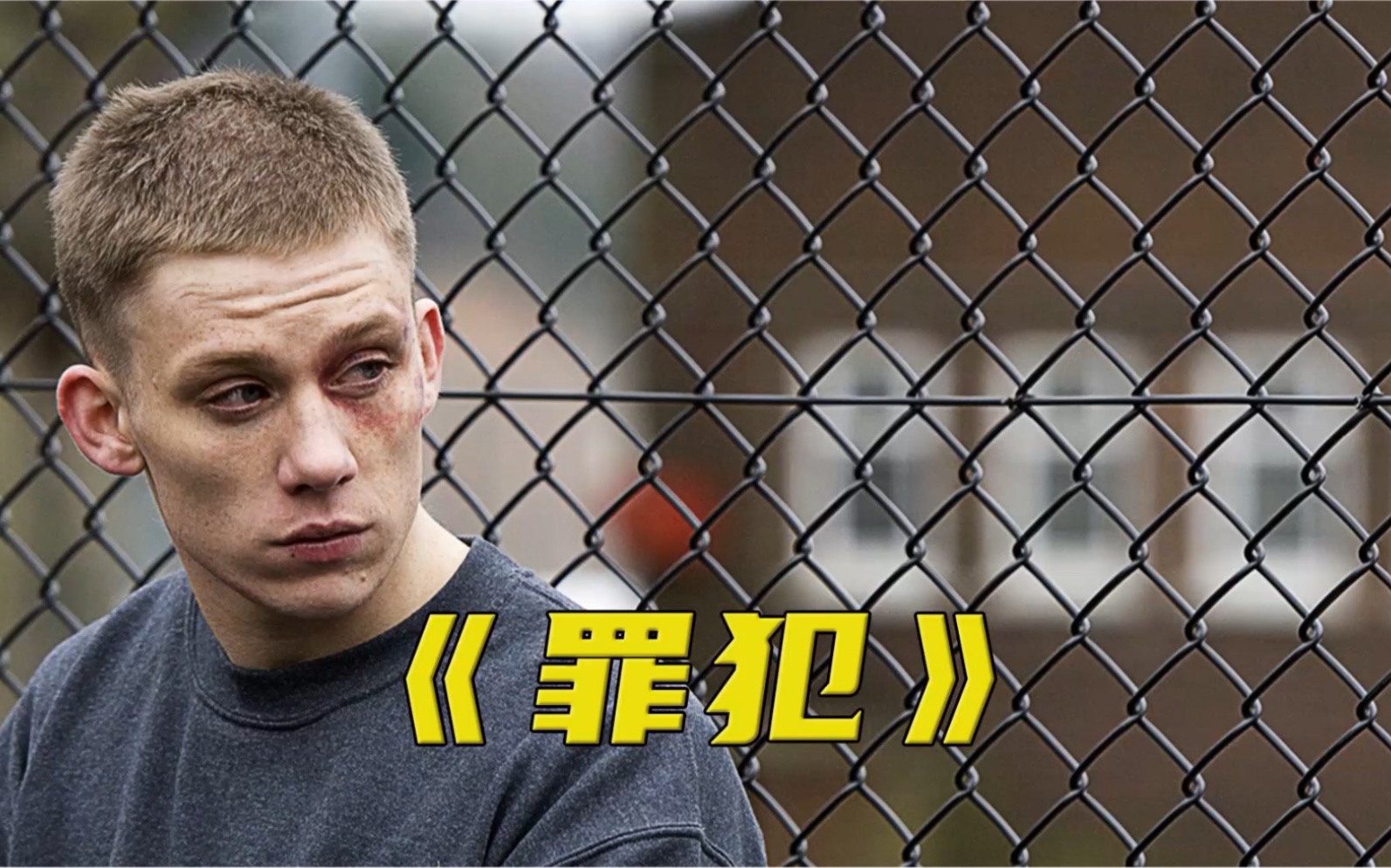 妻子被打,乔科尔主动犯事!来到监狱展开疯狂报复《罪犯》