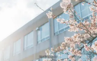 星坂光 搜索结果 哔哩哔哩 Bilibili 星坂光 搜索结果 哔哩哔哩 Bilibili