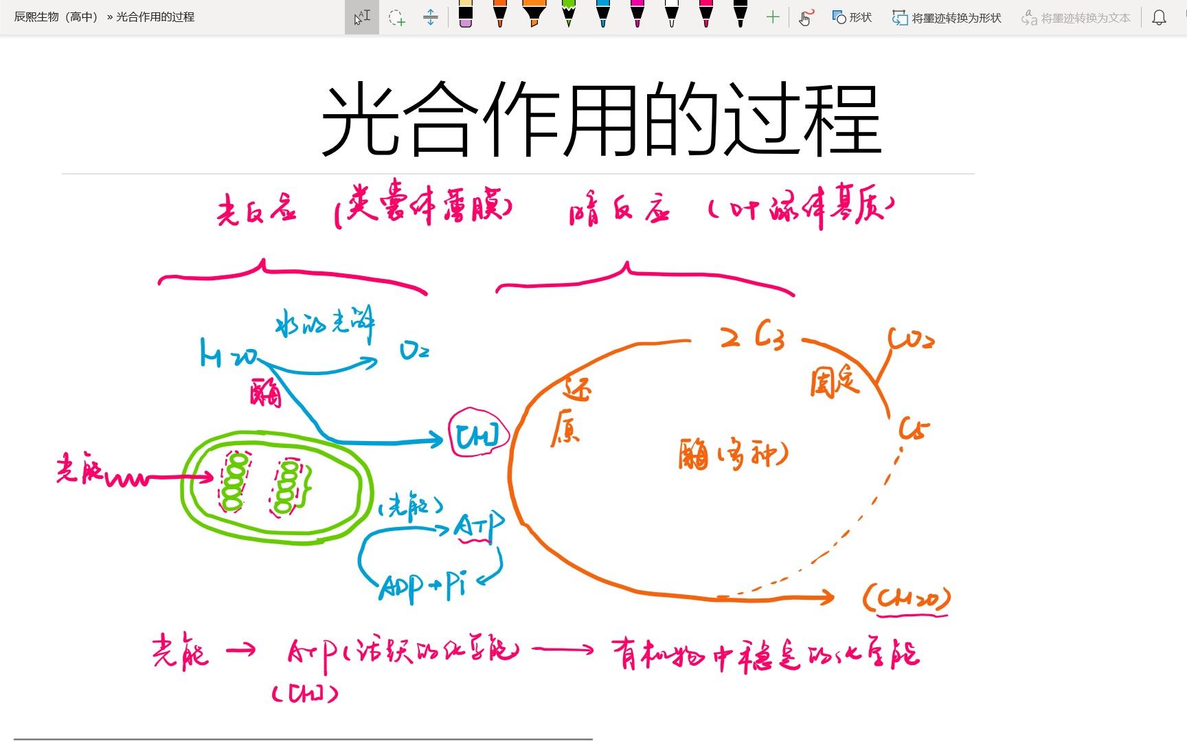 [图]【高中生物】必修一｜光合作用的过程